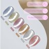 Double Rhythm Cat Eye Gel Nail Polish Set of 6 Colors Shimmer Glitter with Magnet 9D Holographic Reflective Magnetic Nail Polish (Silver Blue Orange Green Purple Pink -Kit 24)