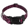 Country Brook Petz - Deluxe Pink Leopard Dog Collar - Made in The U.S.A. - Animal Prints Collection Featuring Wild Designs (1 Inch, Medium)