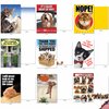 NobleWorks - 36 Assorted Funny Blank Animal Greeting Cards Box Set w/Envelopes, All Occasions Humor Friendship Notes for Men, Women (36 Designs, 1 Each), Our Pet Collection AC6654OCB-B1x36
