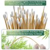 500PCS 6" Cotton Swabs in Storage Box - Long Cotton Swab with Bamboo Handle - Lint Free Cotton Swabs with Wooden Sticks - Highly Absorbent Cotton Tipped Applicators for Makeup, Gun Cleaning, Pet Care