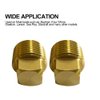 1/2" NPT Solid Brass Drain Plugs commonly Used in Boat Hulls, 2 Pack Solid Brass Boat Hull Spare Garboard Drain Plug for Bayliner Four Winns Glastron Larson Sea Ray Starcraft and Many Other Models