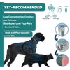 Natural Flea and Tick Collar for Puppies - 12-Month Protection, Safe Pest Control - Waterproof, Strong - Free Flea Comb and Tick Tweezer Included - 2-Pack, 13.8 Inches