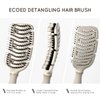 Ecoed Boar Bristle Detangling Brush,Detangling Brush,Detangler Brush for Curly, Thick, and Straight Hair, Dry and Wet Detangling Quickly Detangles and Smooths Hair,Hair Brush for Women and Men