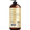 Handcraft Blends Apricot Kernel Oil - 16 Fl Oz - 100% Pure and Natural - Premium Grade Oil for Skin and Hair - Carrier Oil - Hair and Body Oil - Massage Oil - Cold-Pressed and Hexane-Free