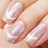 AILLSA Cat Eye Gel Nail Polish Purple Glitter Jelly Holographic Gel Polish Iridescent Shimmer Nail Polish Gel Sparkle Magnetic Soak Off U V Gel with Magnet Stick for Nail Art Salon DIY 0.27 Fl Oz GE25