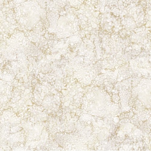 Northcott Bliss Basics DP23887 11 Vanilla Cream
