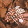 Bohend Rhinestone Hair Comb Flower Crystal Hairpieces Wedding Hair Accessories Jewelry for Women and Girls (Champagne)