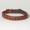 Medium Genuine Leather Jeweled Rhinestone Esprit Dog Collar