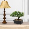 Artificial Bonsai Tree Juniper Faux Plants Indoor Small Fake Plants Decor with Ceramic Pots for Home Table Office Desk Bathroom Shelf Bedroom Living Room Farmhouse Decorations