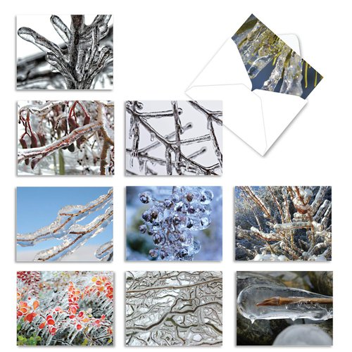 The Best Card Company - 10 Bulk All Occasion Note Cards (4 x 5.12 Inch) - Blank Assorted Cards Set, Nature Plants and Gardens - Nature on Ice M3279