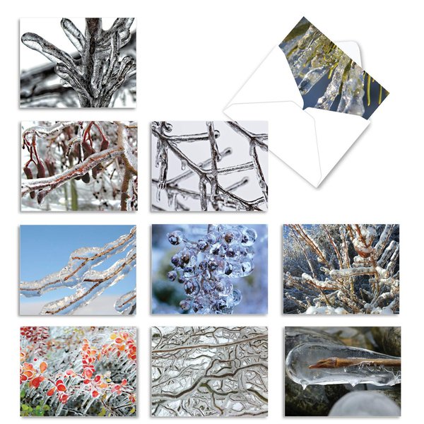 The Best Card Company - 10 Bulk All Occasion Note Cards (4 x 5.12 Inch) - Blank Assorted Cards Set, Nature Plants and Gardens - Nature on Ice M3279