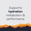 Gnarly Nutrition Hydrate Electrolyte Powder - Exercise Hydration Drink Mix, NSF Sport Certified, Electrolyte Solution, Performance & Recovery - Orange Pineapple, 14.10 Oz
