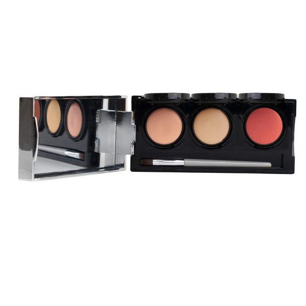 Dermaflage Tattoo Cover Up Bruise Full Coverage Concealer - Waterproof, Smudge & Sweat Proof Body Concealer Cream Palette Pro SFX - 3 Color Light Shades for Scars, Acne (Light)