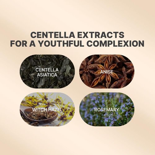 PROOT Centella Cleansing Oil | Centella Oil Cleanser | Korean Centella Cleansing Oil For Face | Centella Oil Cleanser for Face with High Concentrate of Centella Extract | Centella Cleanser For Sebum