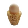 Natural Loofah Egg Scrubber – 100% Biodegradable & Reusable Egg Cleaner for Farm Fresh Eggs – Gentle, Eco-Friendly Egg Washing Tool – Sustainable Kitchen Accessory