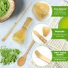 Zhaoyao 4pcs Matcha Whisk Set - Resin Matcha Whisk, Bamboo Tea Scoop and Tea Spoon, Stainless Steel Sifter Matcha Set Durable Matcha Kit Easy to Clean Matcha Tea Set, Traditional Matcha Starter Kit