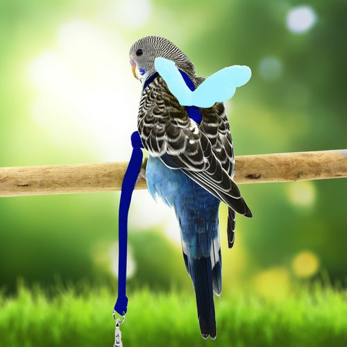 Budgerigar Harness and Leash, Adjustable Parrot Bird Training Design Anti-Bite, Bird Nylon Rope with Cute Wing for Budgerigar and Same Size Birds (S, Blue)