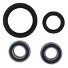 All Balls Racing 25-1753 Wheel Bearing Kit Front Compatible With/Replacement For Suzuki DR-Z 400 2000-2003, DRZ400SM, DRZ400S 2017, DR-Z 400 SM 2005-2016, DR-Z 400 S 2000-2016, DR-Z 400 E 2000-2007