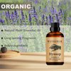 Wuvezrub Hyssop Essential Oils, 30ML Pure and Natural Essential Oil for Aromatherapy Diffuser - Hyssop / 1 Fl Oz
