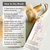 Ginger Chi Dry Brush for Skin, Dry Brushes for Body - Natural Bristle Brush for Dry Brushing Skin (Jute Dry Brush)
