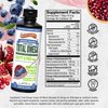 Barlean's Liquid Flaxseed, Borage & Algae Oils Omega 3 Supplement, Pomegranate Blueberry Flavor, Vegan EPA & DHA from Algal Oil, Flax Oil and Borage Seed Oil with 3,980 mg of Omega-3-6-9, 16 oz