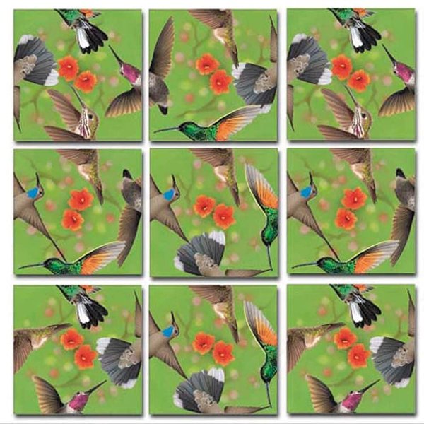 B. Dazzle - Hummingbirds 9 Piece Scramble Square Puzzle - Challenging Brain Teaser for Children & Adults-Boosts Cognitive Function & Problem Solving