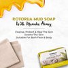 Wild Ferns Rotorua Mud and Manuka Honey Soap