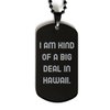 Reusable Hawaii Gifts, I am Kind of a Big Deal in Hawaii, Fun Black Dog Tag for from