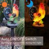 ZFNN Solar Rooster Lights Outdoor Decorative,Solar Chicken Decor Garden Stakes Lights,Waterproof Chicken Statue with Led Lights Yard Art for Pathway Lawn Patio Courtyard Backyard(Warm White)