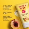 Burt's Bees Deep Cleansing Pore Scrub with Peach and Willow Bark, 4 Ounces