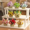 SJIADA The 8-Piece Flowers Building Block Set,Plants and Succulent Toys, is a Valentine's Day and Birthday Gift for Women and Girls.As a Decoration or Adult Block Toy.
