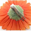 4 inch Variegated Orange Gerbera Daisy Silk Flower Hair Clip