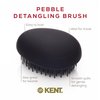 Kent PMB Black Pebble Scalp Massager Shampoo Brush, Shower Brush, and Travel Size Detangling Brush - Scalp Scrubber for Dandruff and Kids Hair Brush Hair Detangler - Hairbrush for Tangles