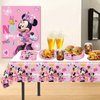 Minnie Birthday Party Supplies, 20 Plates, 20 Napkins and 1 Tablecover for Mouse Party Decorations