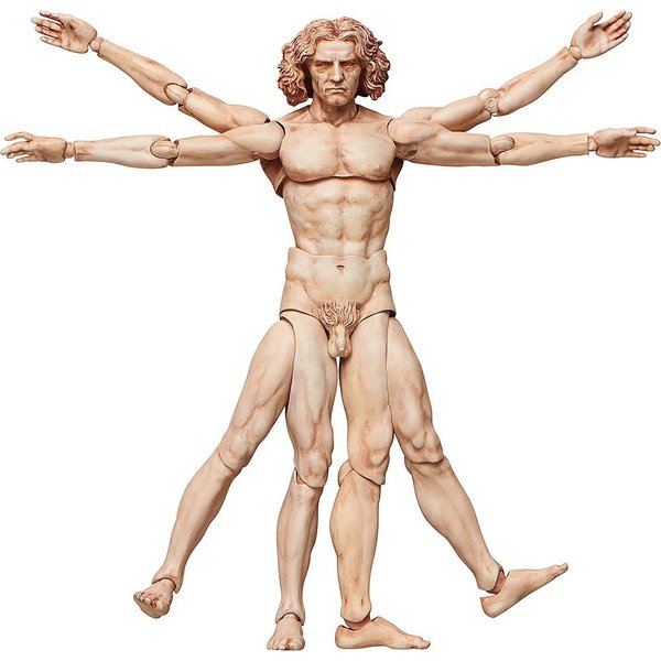 FREEing Table Museum The Vitruvian Man Figma Action Figure