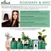 Difeel Elevated Rosemary Mint Hair Conditioner with Biotin 12 oz. - Made with Natural Rosemary & Mint to Strengthen Dry, Damaged Hair, Promote Growth, Smooth Split Ends & Moisturize Dry Scalp