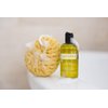doTERRA - SPA Refreshing Body Wash - 8.45 fl oz