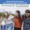 LifeStrength Sea Moss Capsules (Pack of 2) - Wildcrafted Irish Sea Moss, Bladderwrack & Burdock Root Superfood Blend - Immune System, Joint, Gut Health & Thyroid Support - 240 Vegetarian Capsules