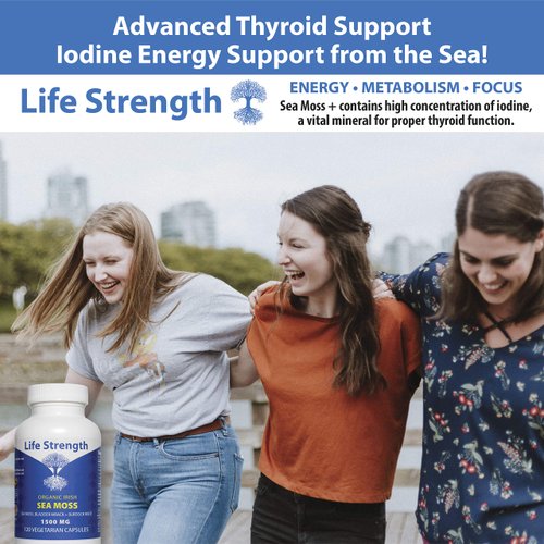 LifeStrength Sea Moss Capsules (Pack of 2) - Wildcrafted Irish Sea Moss, Bladderwrack & Burdock Root Superfood Blend - Immune System, Joint, Gut Health & Thyroid Support - 240 Vegetarian Capsules