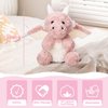 EOUOBOMO Cute Flying Dragon Plush,Soft Dinosaur Stuffed Animals Pillow,Kawaii Fire Dragon Animal Plushies Toy,Great Birthday Present for Adults and Kids,7.88",Pink