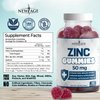 Zinc Gummies - 2 Pack - 50mg High Immune Booster Zinc Supplement, Immune Defense, Powerful Natural Antioxidant, Non-GMO - by New Age (Zinc/Vitamin C)