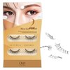 D-UP Natural Look False Eyelashes, False Lashes for Nature Look, Japanese Natural Looking Fake Eyelashes All Day Long Lasting Wear, 2 Pairs, Airy Curl Lash 02