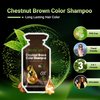 Herbishh Hair Color Shampoo 10 Sachet +1 Argan Hair Mask Pouch | 3 in 1 Hair Dye | PPD Free | Easy to Use | Gray Coverage | Travel Size | Available in 6 Colors | (Chestnut Brown)