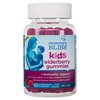 Mommy's Bliss Kids Elderberry Gummies, Supports Immunity with Black Elderberry, Zinc & Vitamin C, Gluten Free & Vegan, Age 2 Years+ (60 Count)