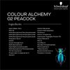 THEUNSEEN COLOUR ALCHEMY – Holographic Temporary Hair Color Gel Cream – Heat Activated Hair Dye for Iridescent Effects – Heat-Reactive Technology, 02 Peacock