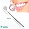 Professional Dental Picks Kit of 10 Pcs Cleaning Set Gum Care for Plaque Remover & Oral Hygiene Made of Stainless Steel Double & Single Ended Picks + Scraper & Mouth Mirror with Carrying Case