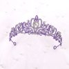 CIEHER Purple Crown Purple Tiara for Women Girls, Crystal Purple Crowns for Women Crown with 4 Hair Clips for Halloween Costume Party Prom, Purple Birthday Decorations