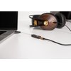 iFi GO link - DAC & Amplifier - USB-C to 3.5mm Adapter - Improve Headphone Sound from any Device - Gold-plated 3.5mm Headphone Socket – Flexible Cable - Supports Hi-Resolution 32-bit/384kHz/DSD256/MQA