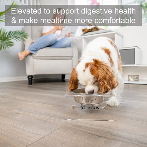 PetFusion Elevated Dog & Cat Bowls, 8" x 8" x 4", Stainless Steel & Acrylic, Mix & Match, 12 Month Warranty