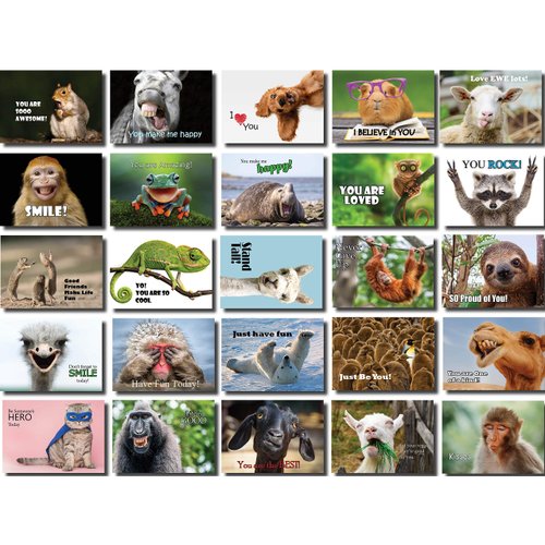 Oospecka Lunch Box Note Cards Motivational and Inspirational Funny Animal Note Cards for kids